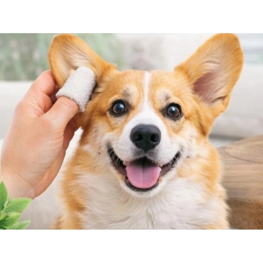 Generic Pack of 2 Pet Ear Cleaning Wipes (White)
