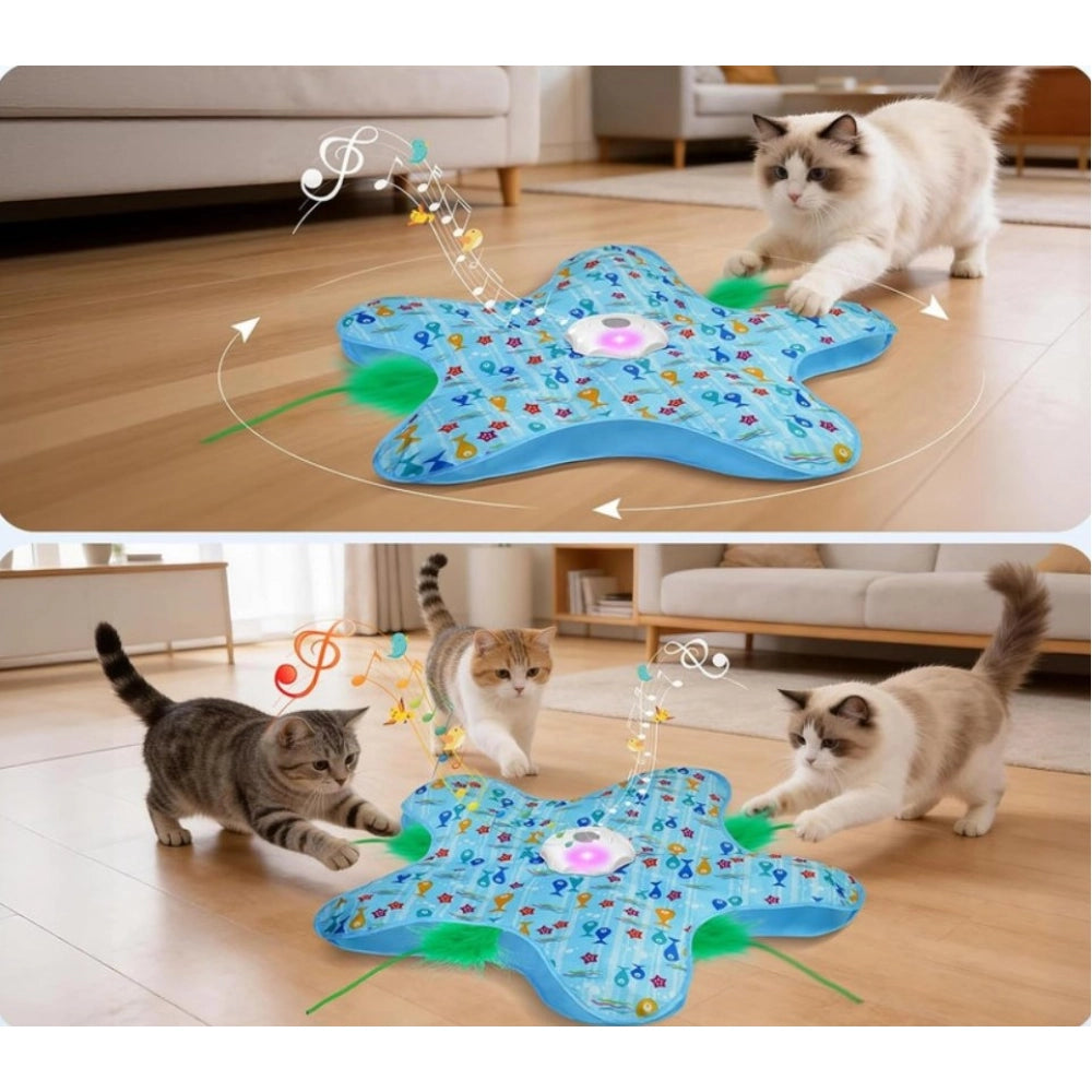 Hide And Seek Cat Toy (Blue)