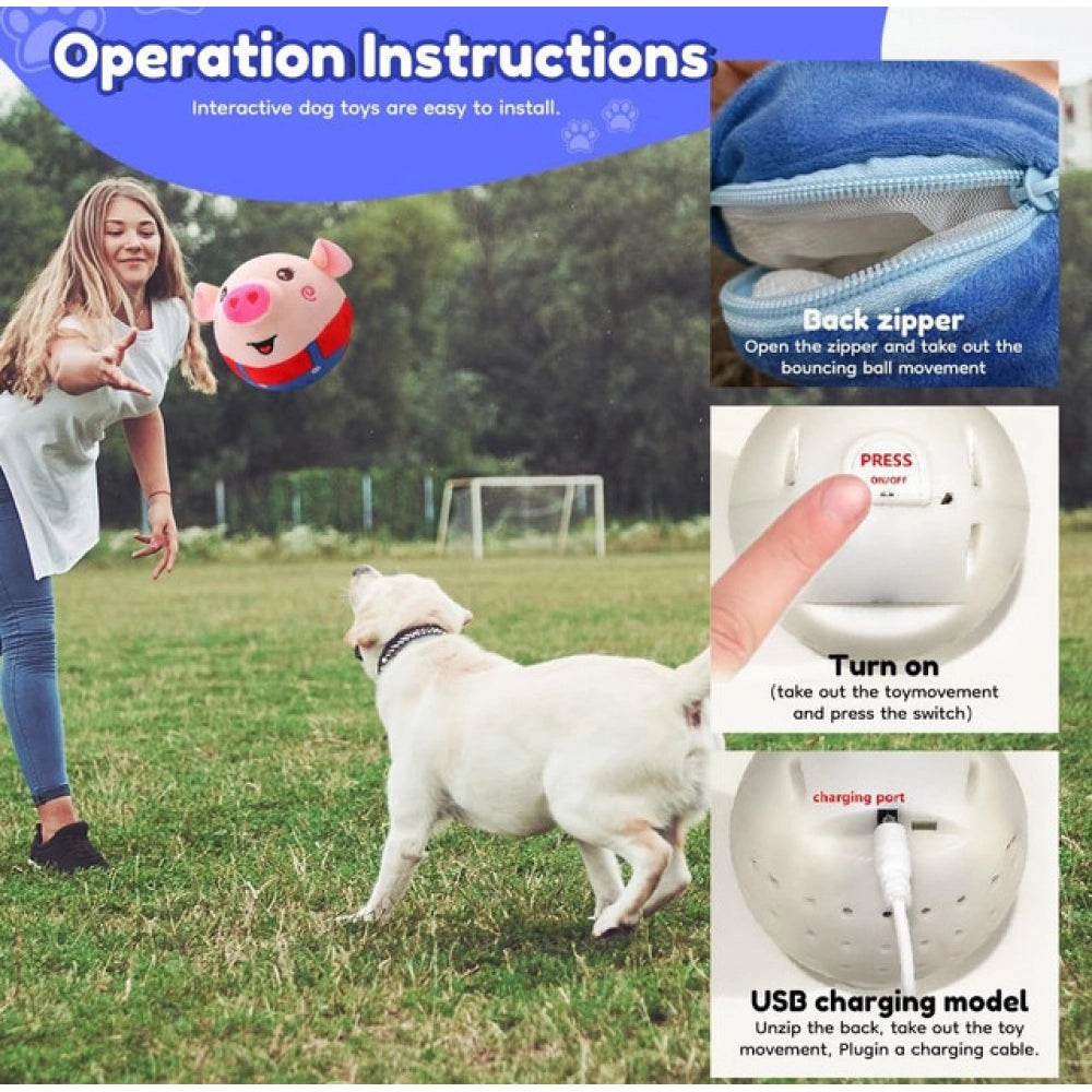 Dancing Piggy Ball (Multicolor)